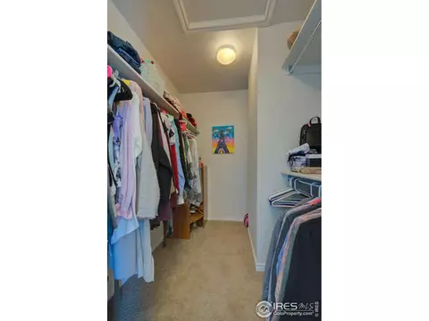 319 Mcconnell Dr, Lyons, CO 80540 photo 33