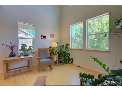 319 Mcconnell Dr, Lyons, CO 80540 photo 37