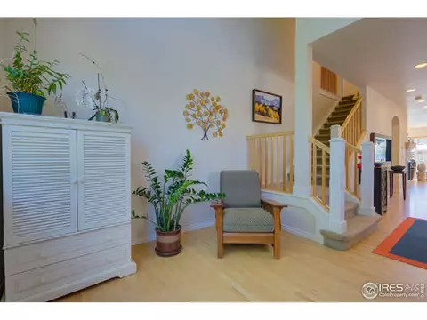 319 Mcconnell Dr, Lyons, CO 80540 photo 7