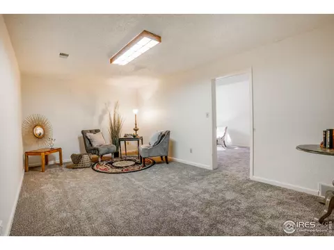 1024 Pinyon Ct, Windsor, CO 80550 photo 21