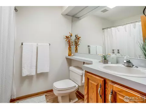 1024 Pinyon Ct, Windsor, CO 80550 photo 18
