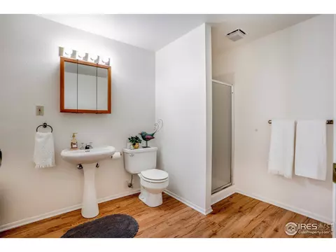 1024 Pinyon Ct, Windsor, CO 80550 photo 24