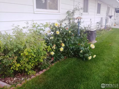 509 N Logan Ave, Fleming, CO 80728 photo 31