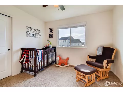 537 El Diente Ave, Severance, CO 80550 photo 18