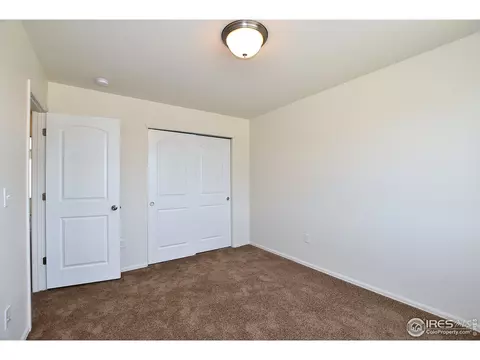 2114 Orchard Bloom Dr, Windsor, CO 80550 photo 29