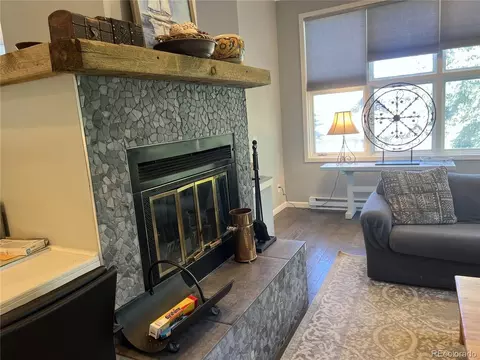 Living - 63 Guyot Ln #1, Dillon, CO 80435 photo 5 of 7