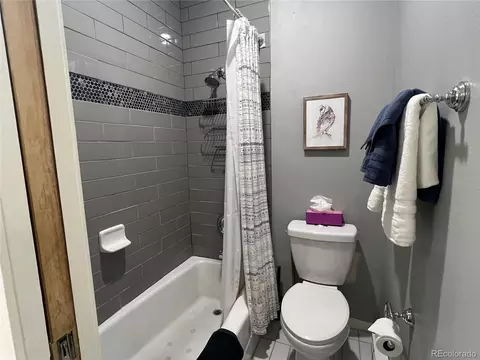 Bath - 63 Guyot Ln #1, Dillon, CO 80435 photo 5 of 6
