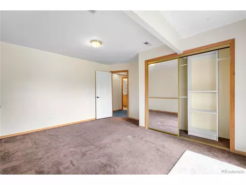 690 S Pine Drive Dr, Bailey, CO 80421 photo 4