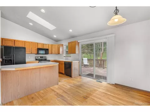 690 S Pine Drive Dr, Bailey, CO 80421 photo 23