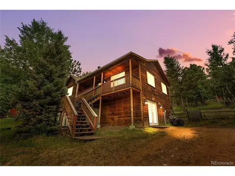 690 S Pine Drive Dr, Bailey, CO 80421