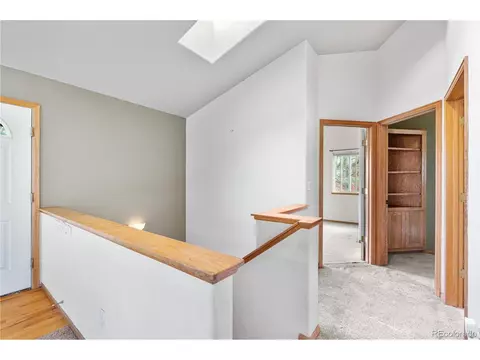 690 S Pine Drive Dr, Bailey, CO 80421 photo 13