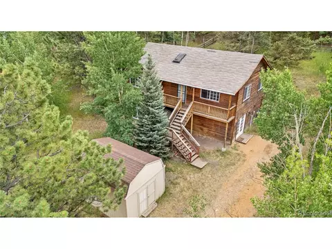690 S Pine Drive Dr, Bailey, CO 80421 photo 28