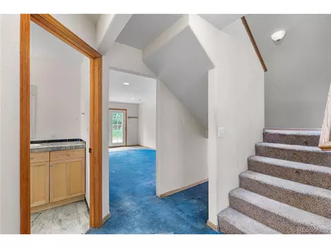 690 S Pine Drive Dr, Bailey, CO 80421 photo 3