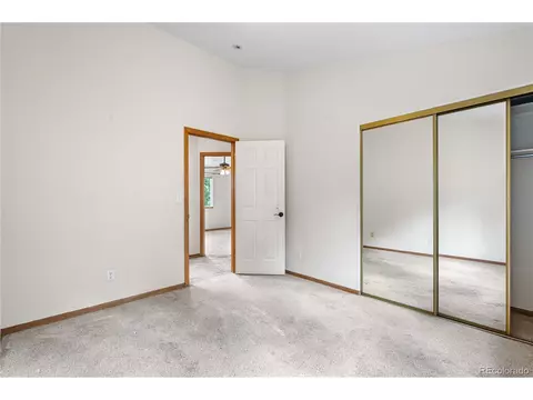 690 S Pine Drive Dr, Bailey, CO 80421 photo 14