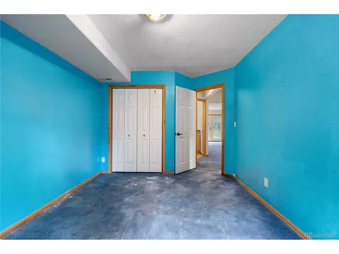 690 S Pine Drive Dr, Bailey, CO 80421 photo 7