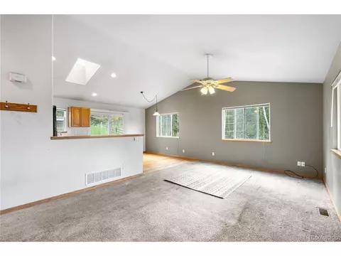 690 S Pine Drive Dr, Bailey, CO 80421 photo 21