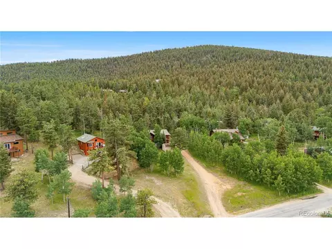 690 S Pine Drive Dr, Bailey, CO 80421 photo 30