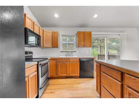 690 S Pine Drive Dr, Bailey, CO 80421 photo 22