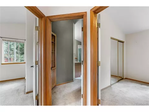 690 S Pine Drive Dr, Bailey, CO 80421 photo 16