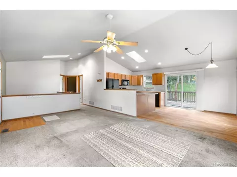 690 S Pine Drive Dr, Bailey, CO 80421 photo 27