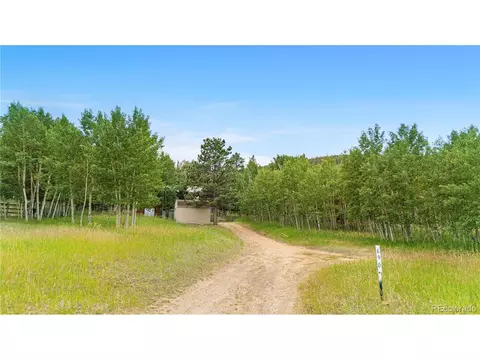 690 S Pine Drive Dr, Bailey, CO 80421 photo 31