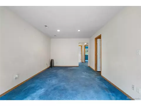690 S Pine Drive Dr, Bailey, CO 80421 photo 8