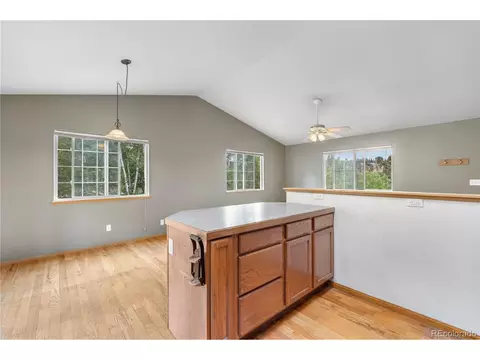 690 S Pine Drive Dr, Bailey, CO 80421 photo 24