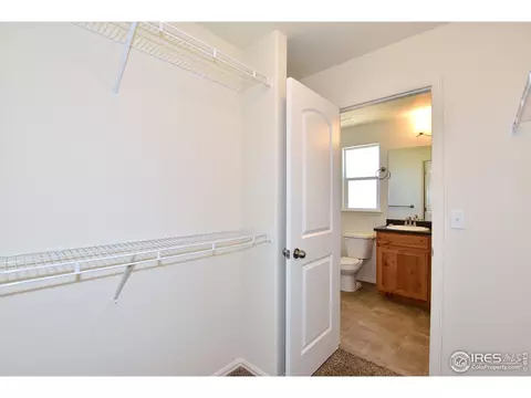 1560 Driftline Dr, Windsor, CO 80550 photo 29