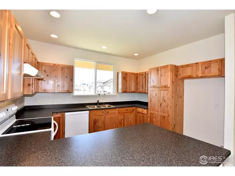 1560 Driftline Dr, Windsor, CO 80550 photo 5