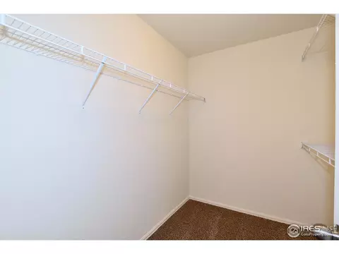 1560 Driftline Dr, Windsor, CO 80550 photo 28