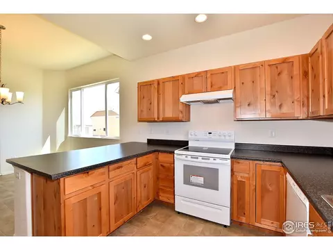 1560 Driftline Dr, Windsor, CO 80550 photo 4