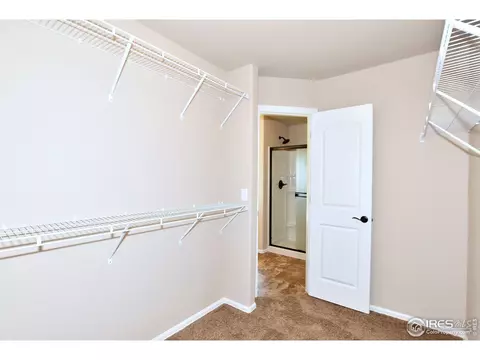 1027 Mt Oxford Ave, Windsor, CO 80550 photo 23