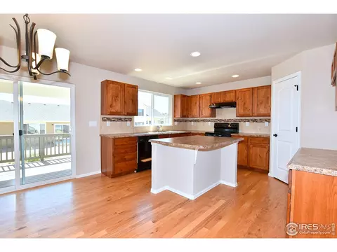 1027 Mt Oxford Ave, Windsor, CO 80550 photo 10