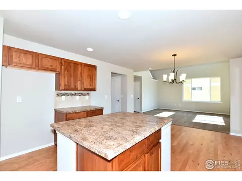 1027 Mt Oxford Ave, Windsor, CO 80550 photo 15
