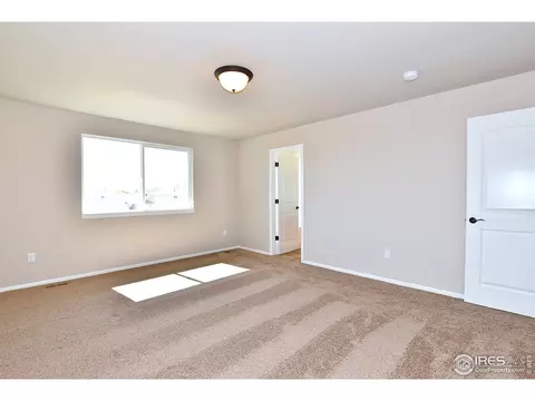 1027 Mt Oxford Ave, Windsor, CO 80550 photo 19