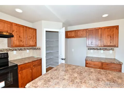 1027 Mt Oxford Ave, Windsor, CO 80550 photo 14