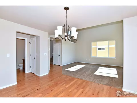 1027 Mt Oxford Ave, Windsor, CO 80550 photo 16