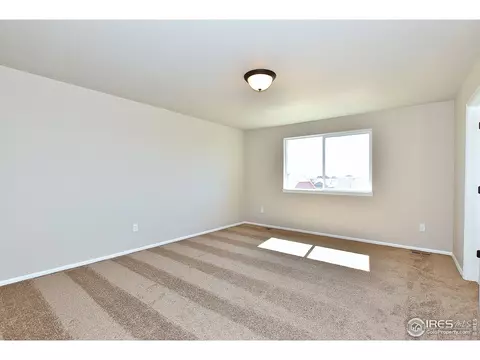 1027 Mt Oxford Ave, Windsor, CO 80550 photo 17