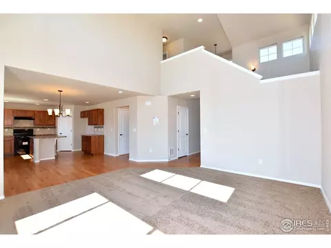 1027 Mt Oxford Ave, Windsor, CO 80550 photo 8