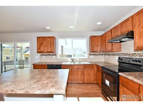 1027 Mt Oxford Ave, Windsor, CO 80550 photo 13