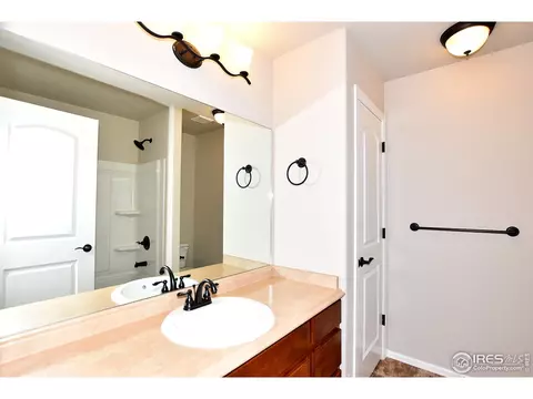 1027 Mt Oxford Ave, Windsor, CO 80550 photo 28