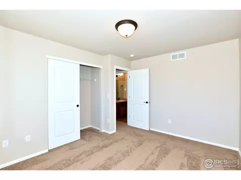 1027 Mt Oxford Ave, Windsor, CO 80550 photo 29