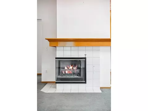 9773 Quay Loop, Broomfield, CO 80021 photo 12