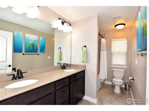 4337 Lemon Grass Dr, Johnstown, CO 80534 photo 9