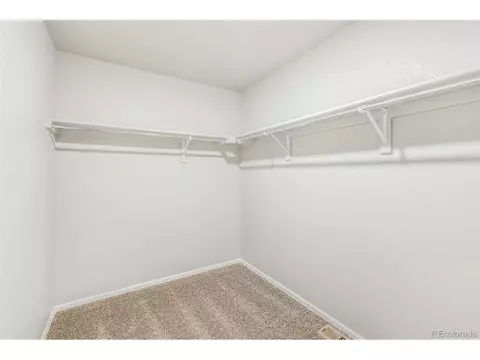 1928 Thundercloud Dr, Windsor, CO 80550 photo 15