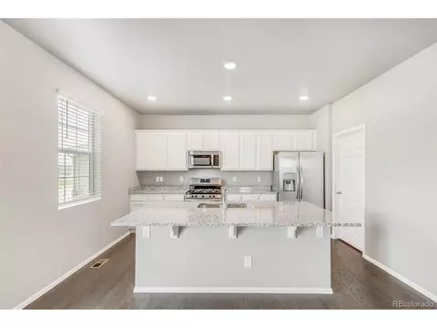1928 Thundercloud Dr, Windsor, CO 80550 photo 5