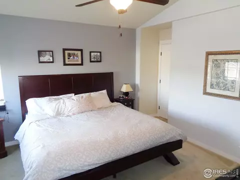 550 Arrow Ct, Windsor, CO 80550 photo 25