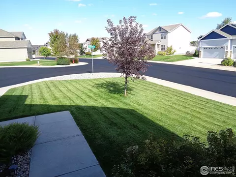 550 Arrow Ct, Windsor, CO 80550 photo 6