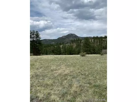 305 Happy Top Trl, Bailey, CO 80421 photo 3