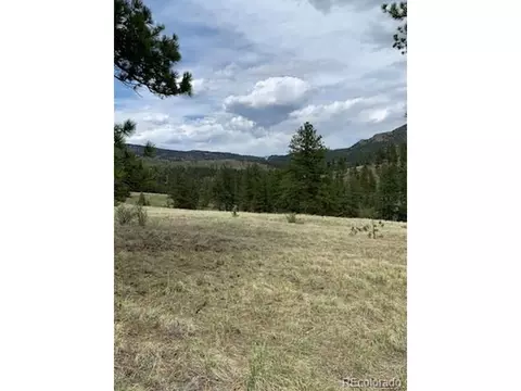 305 Happy Top Trl, Bailey, CO 80421 photo 25